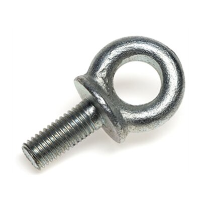 Metric Eyebolt M10