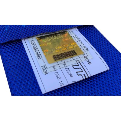 Gold FIA Hologram