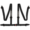Bolt In 4 Point Road Harness
