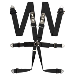 Pro 6 Point FIA Harness
