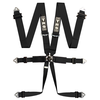 Pro 6 Point FIA Harness