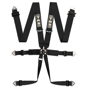 Pro 6 Point FIA Harness