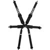 Pro 6 Point Single Seater FHR Only FIA Harness