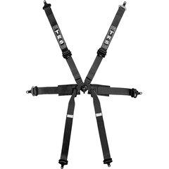 Pro 6 Point Single Seater 50mm FHR Only FIA Harness