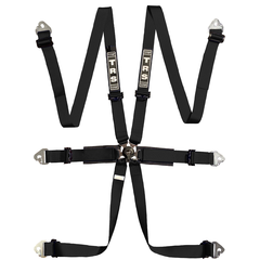 International 6 Point FHR Only FIA Harness