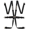 International 6 Point FHR Only FIA Harness