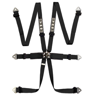 International 6 Point FHR Only FIA Harness