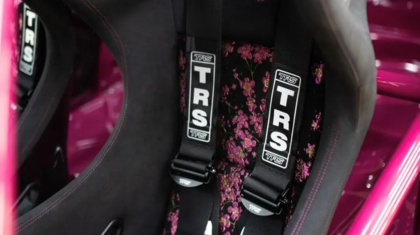 Black TRS Harness in Car with Pink Roll Cage
