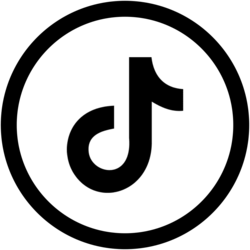 TikTok Logo 